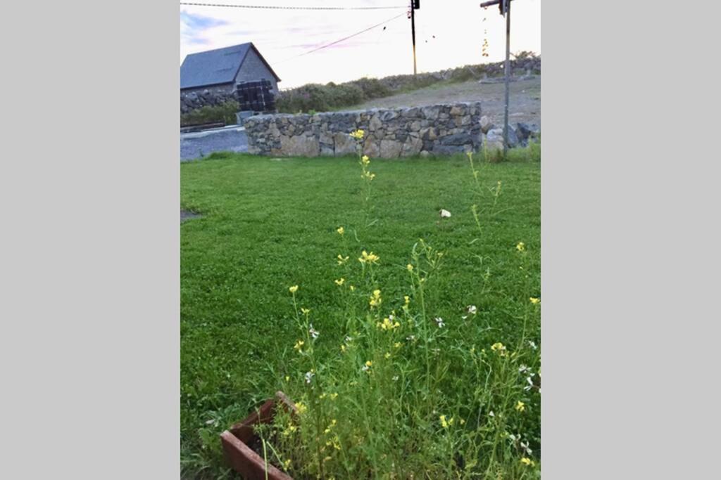 Tigh Noor - Escape To Kinvara By The Sea! Γκάλγουεϊ Εξωτερικό φωτογραφία